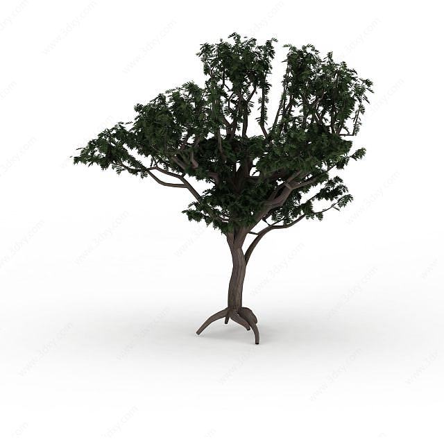 多分枝树木3D模型