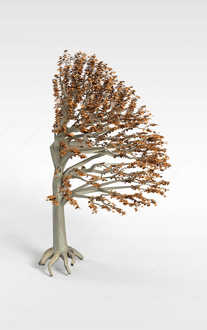 扇形观赏树3D模型
