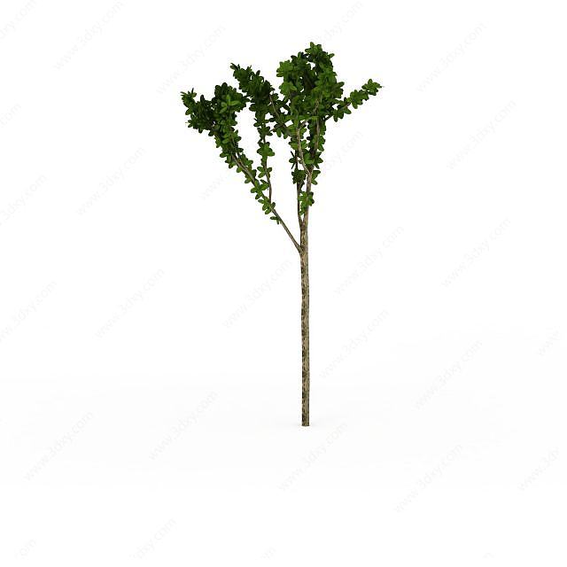 绿色分支树3D模型