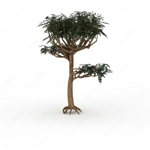 景观树木3D模型
