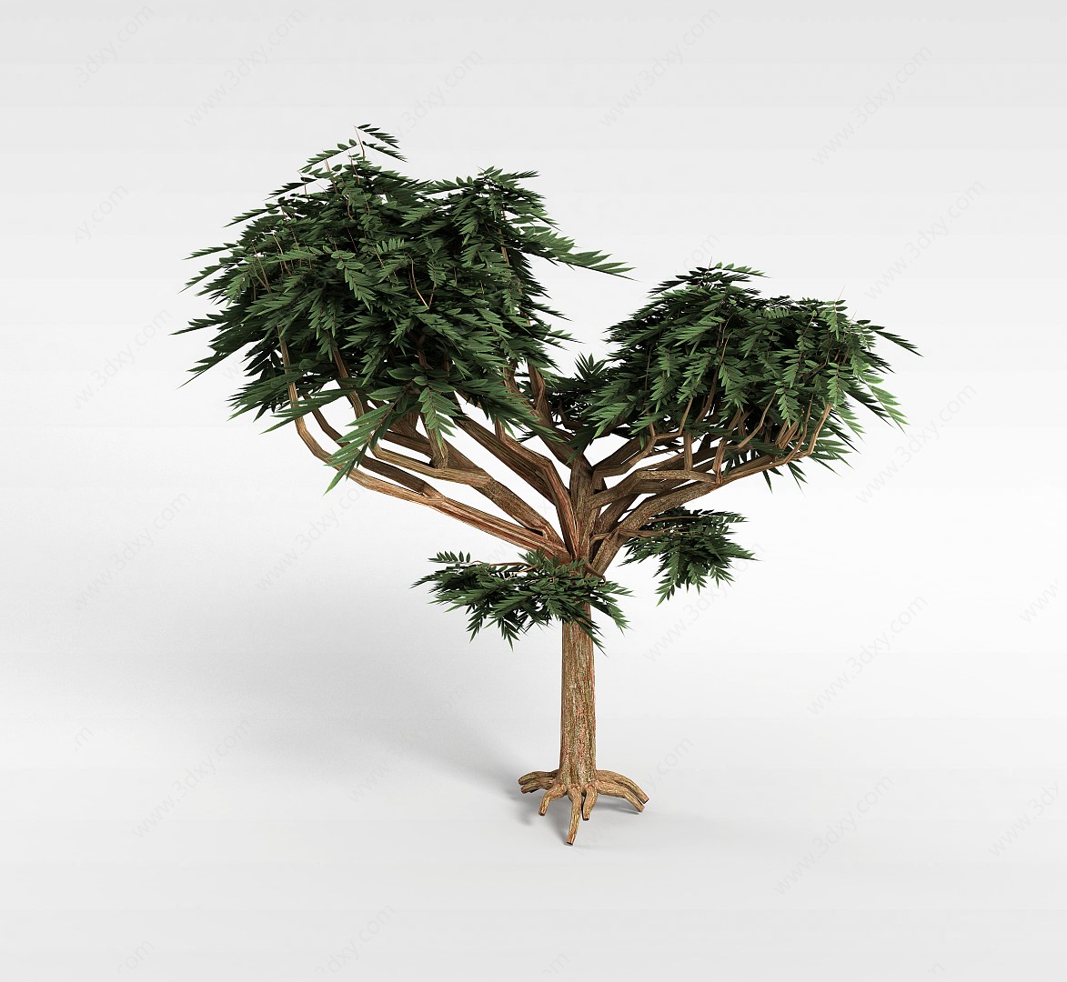 分支景观树3D模型