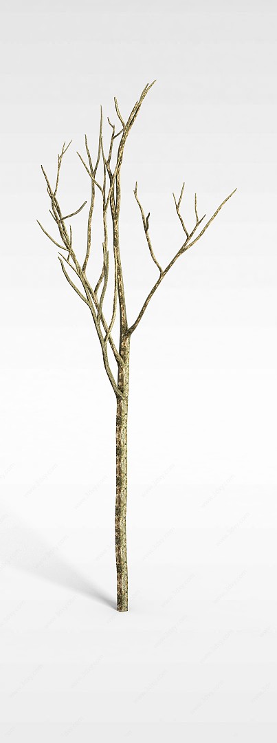 景观树木3D模型