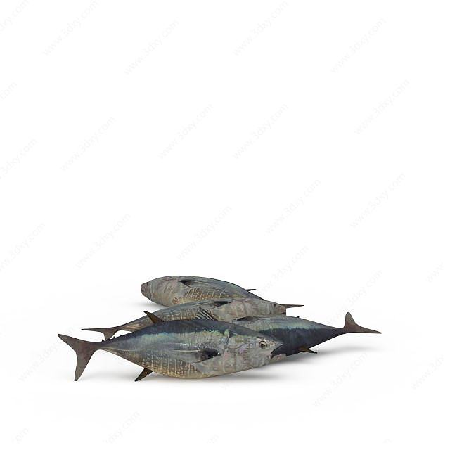深水鱼3D模型