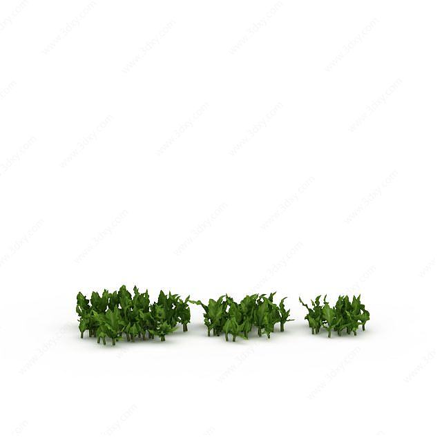 田园绿色植物3D模型