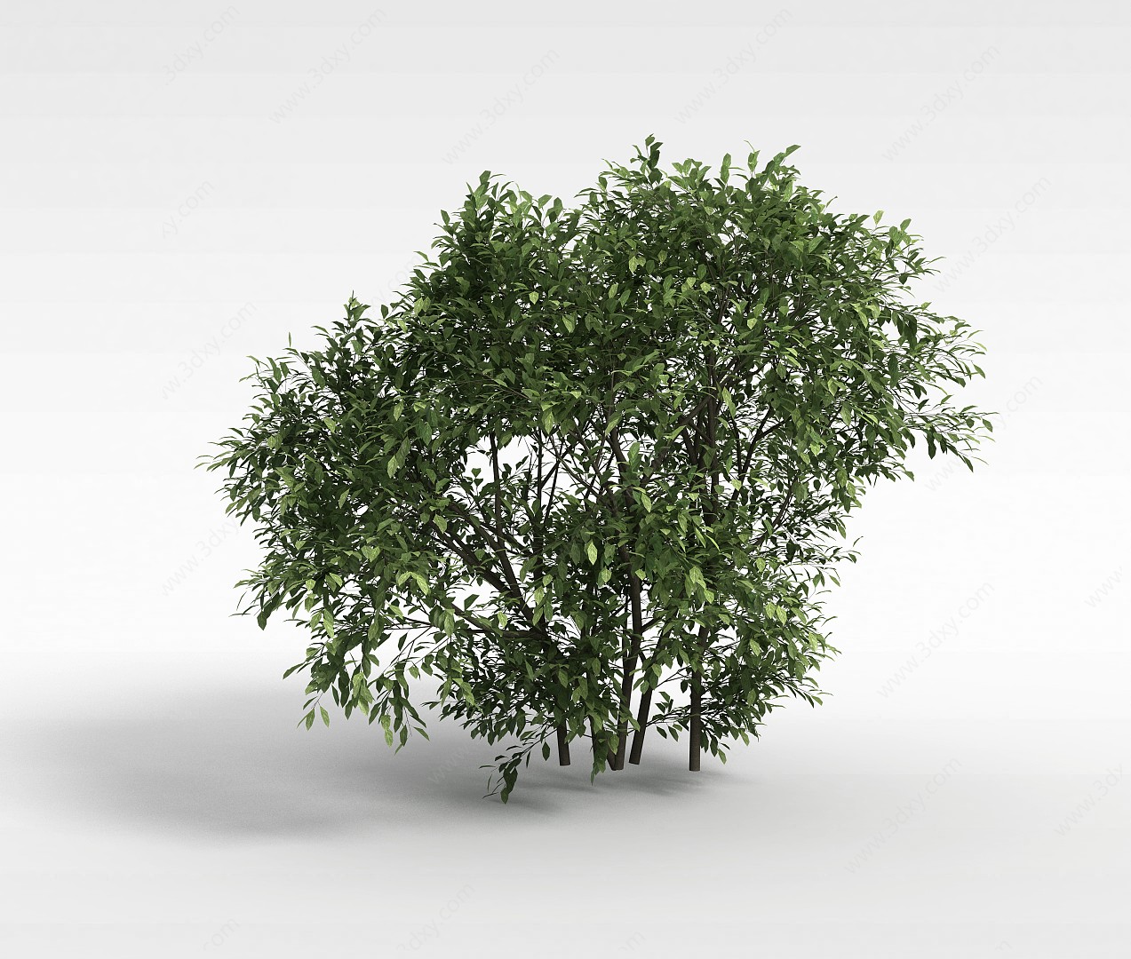 绿色景观树3D模型