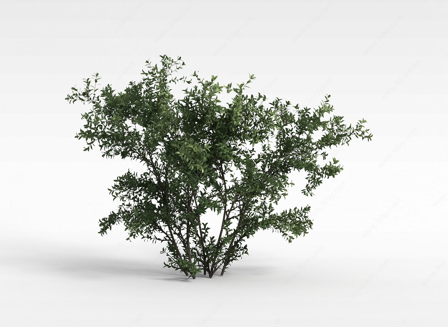 景观落叶树3D模型