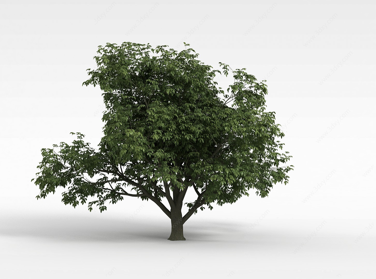 公园落叶树3D模型