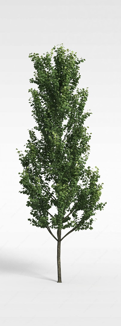 公园落叶绿树3D模型