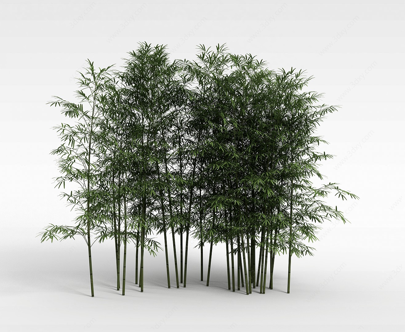 公园小树林3D模型