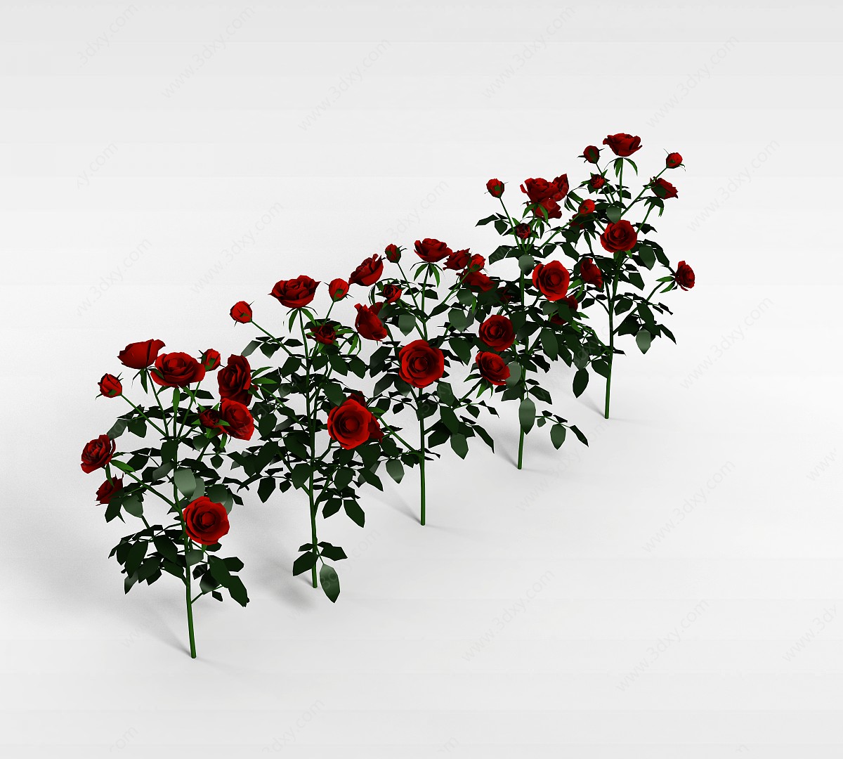 玫瑰花3D模型