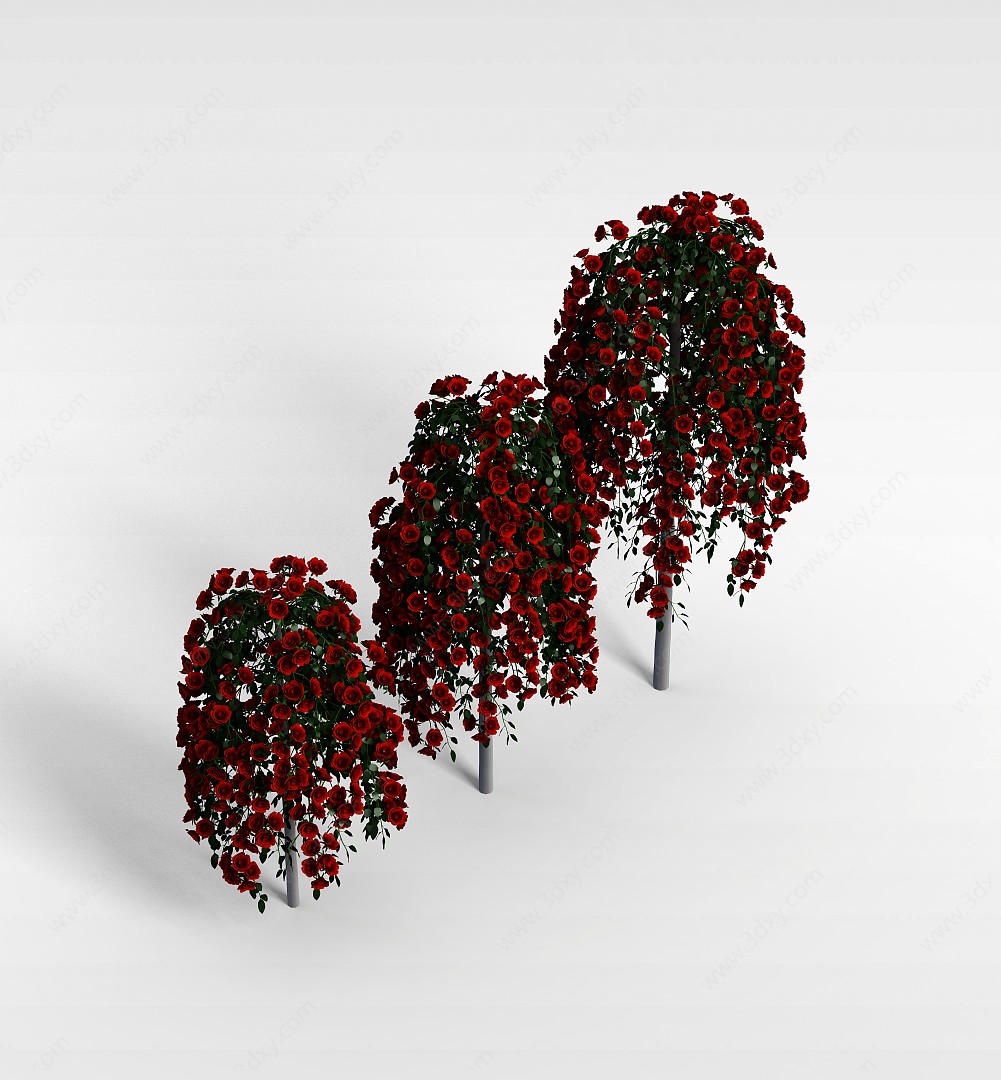 公园红花树3D模型
