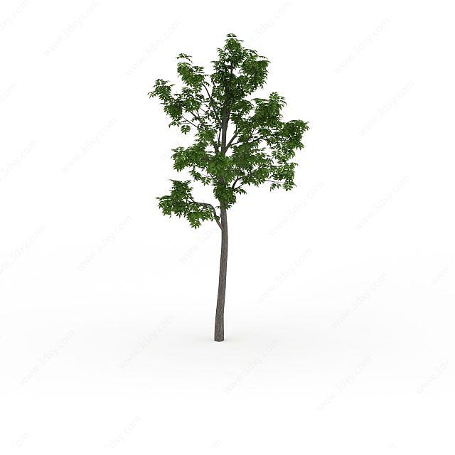 景观装饰树3D模型