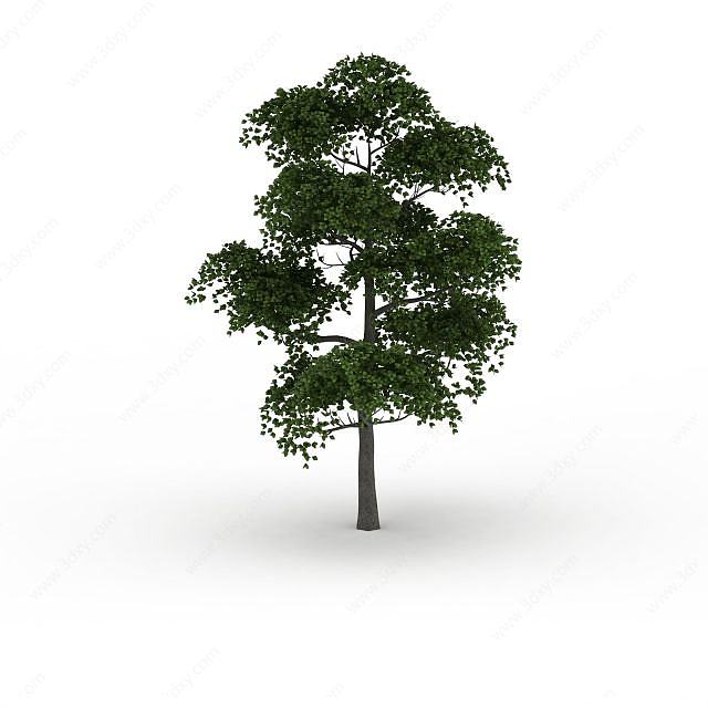 园林树3D模型