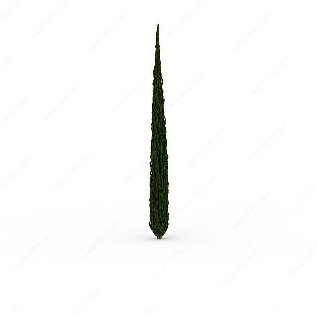 景观针形松树3D模型