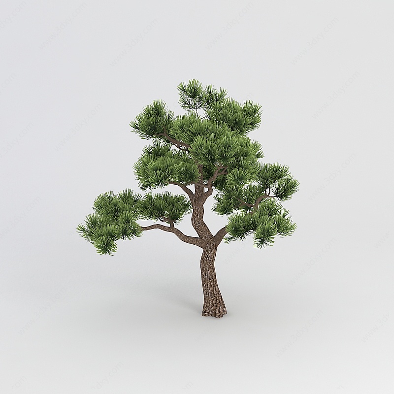 室外松树3D模型