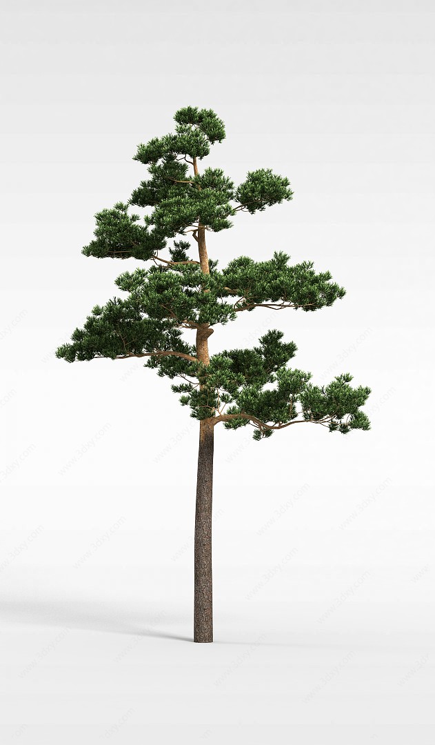景观绿树3D模型