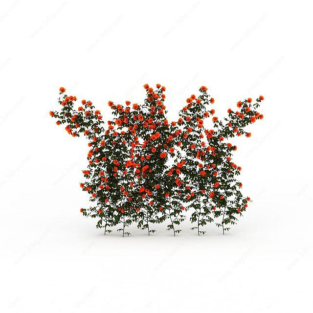 红花藤蔓3D模型