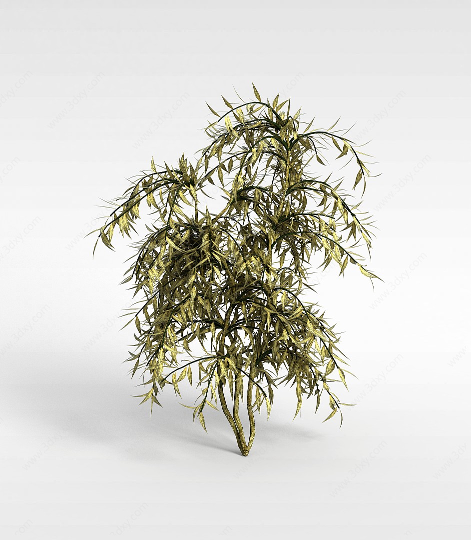 落叶树3D模型