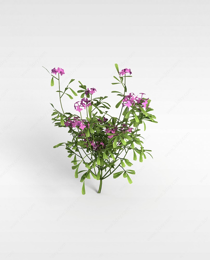 园林花草3D模型