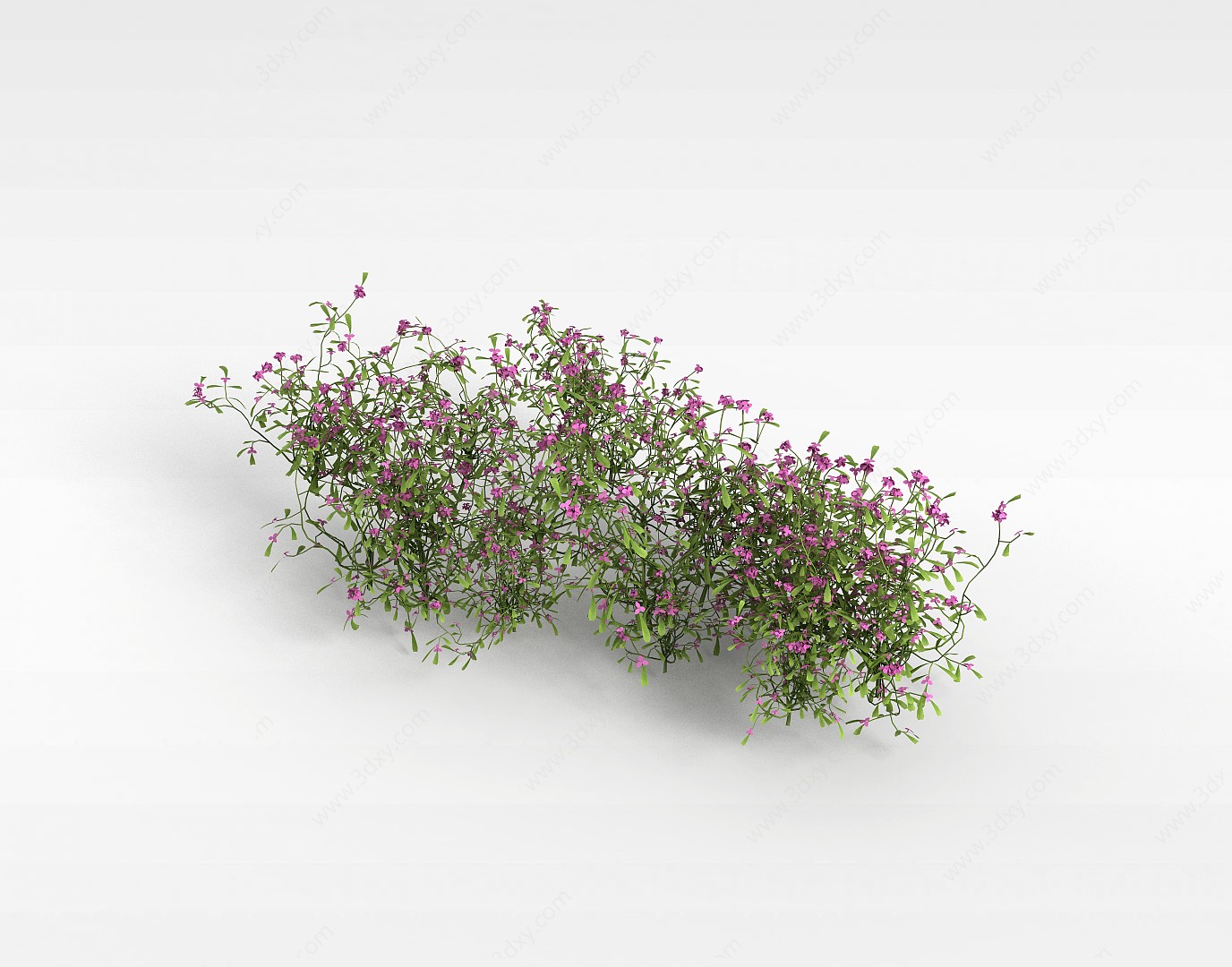 景观花草植被3D模型