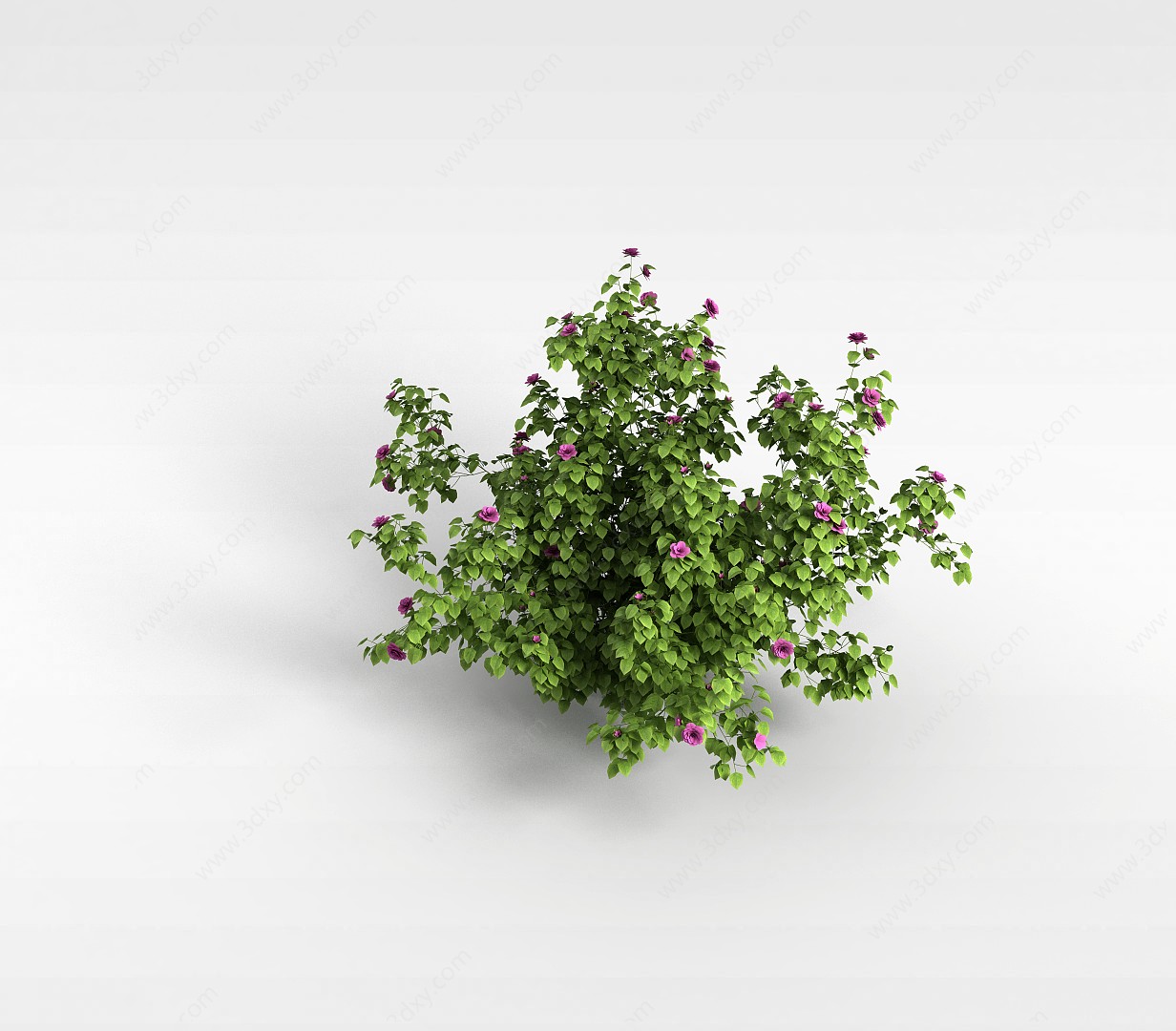 落叶绿植3D模型