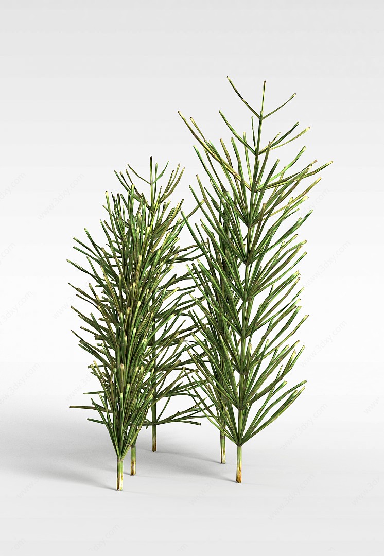 绿化植被3D模型