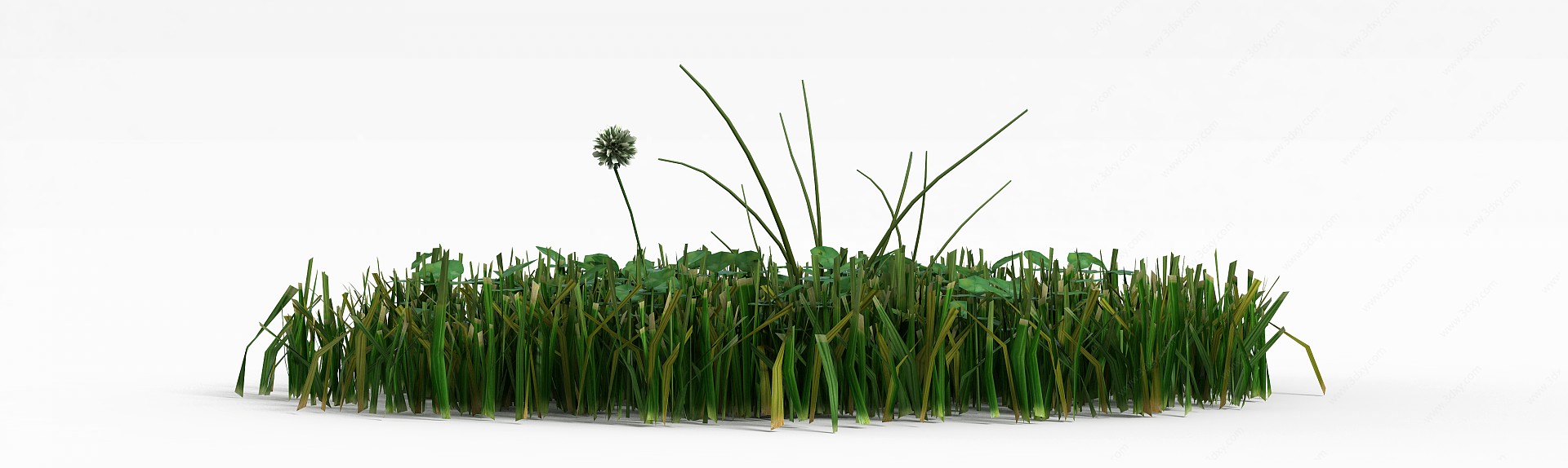 绿化植被3D模型