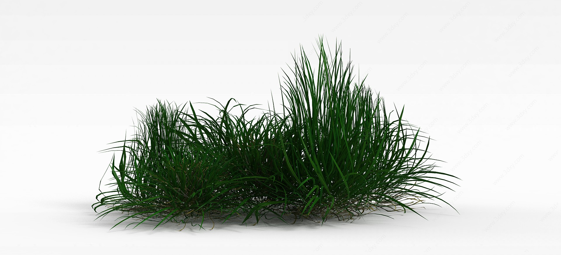 绿化草丛3D模型