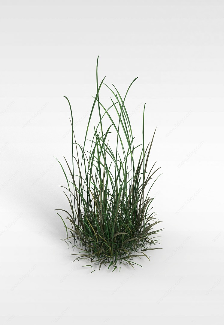 野生草丛3D模型