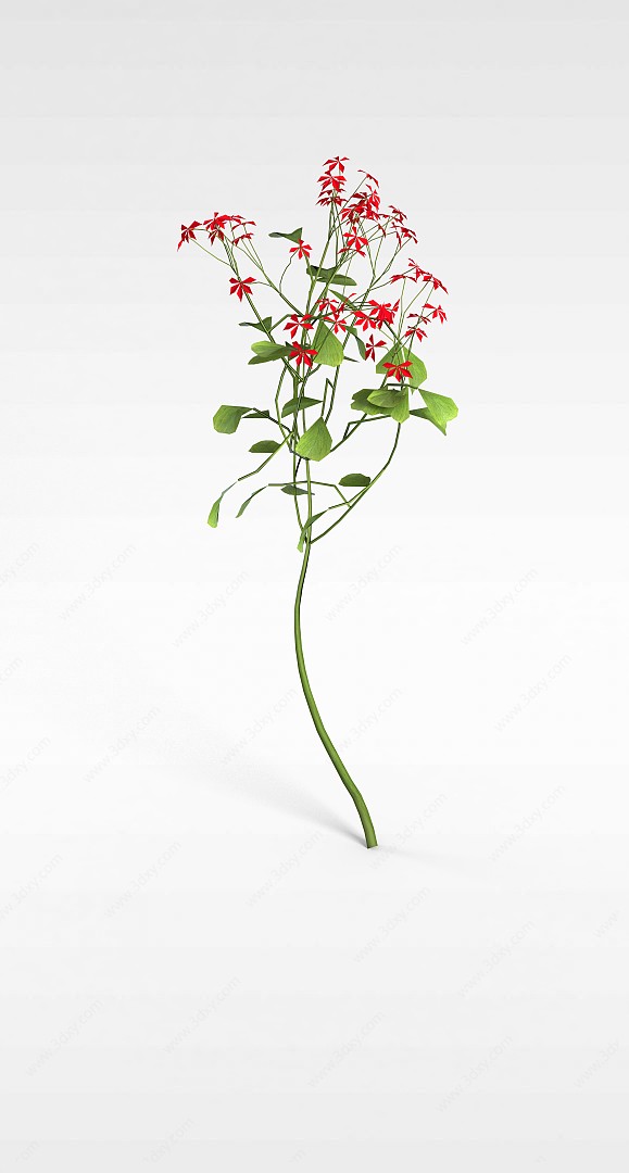 红色花枝3D模型