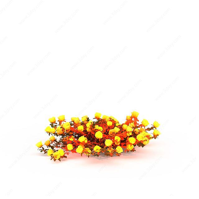 黄色花卉3D模型