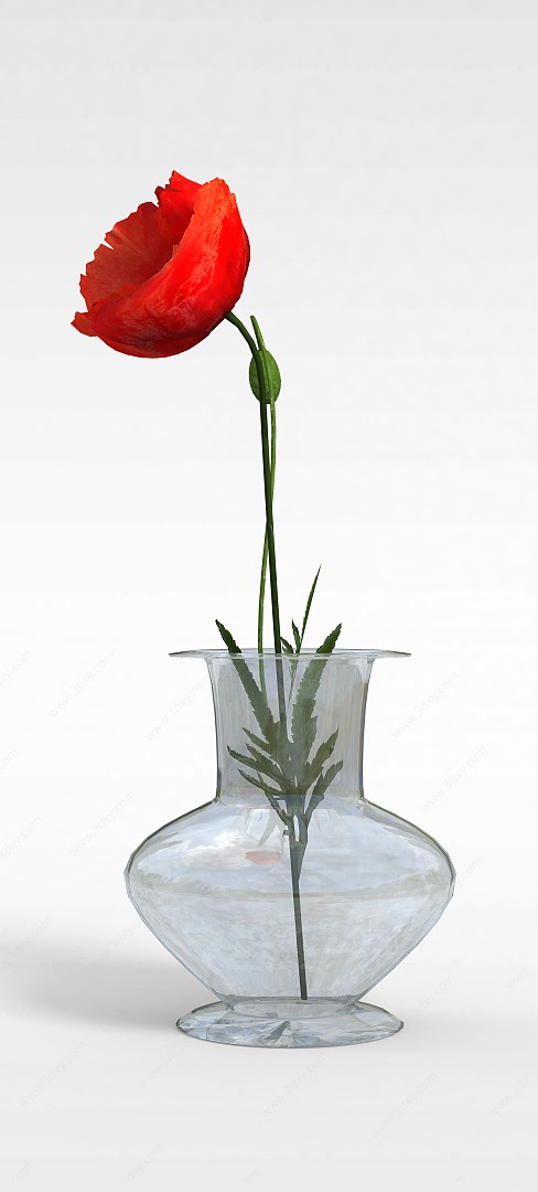 红色花朵3D模型
