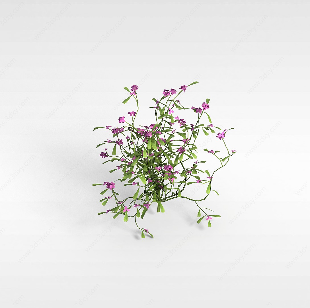 紫色花草3D模型