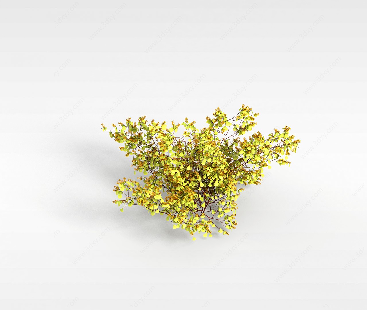 青绿小植物3D模型