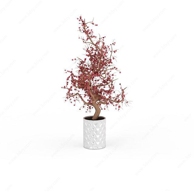 梅花盆栽3D模型