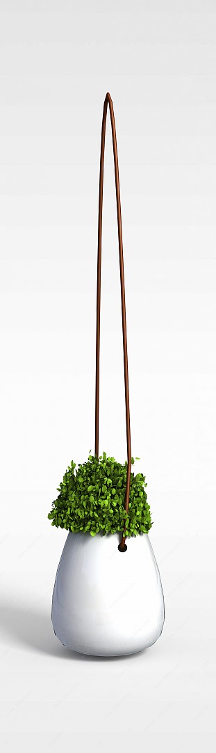 垂挂盆栽3D模型