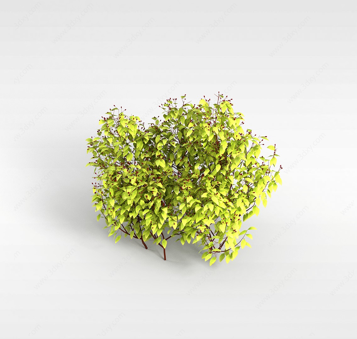 小树林3D模型