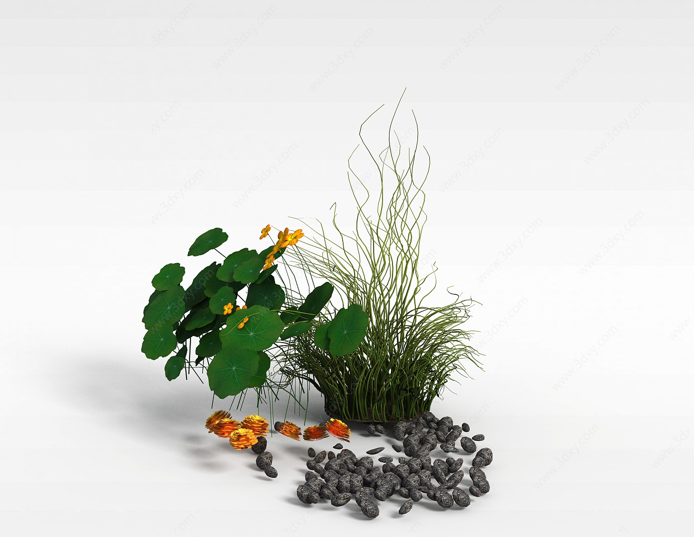 野草装饰3D模型