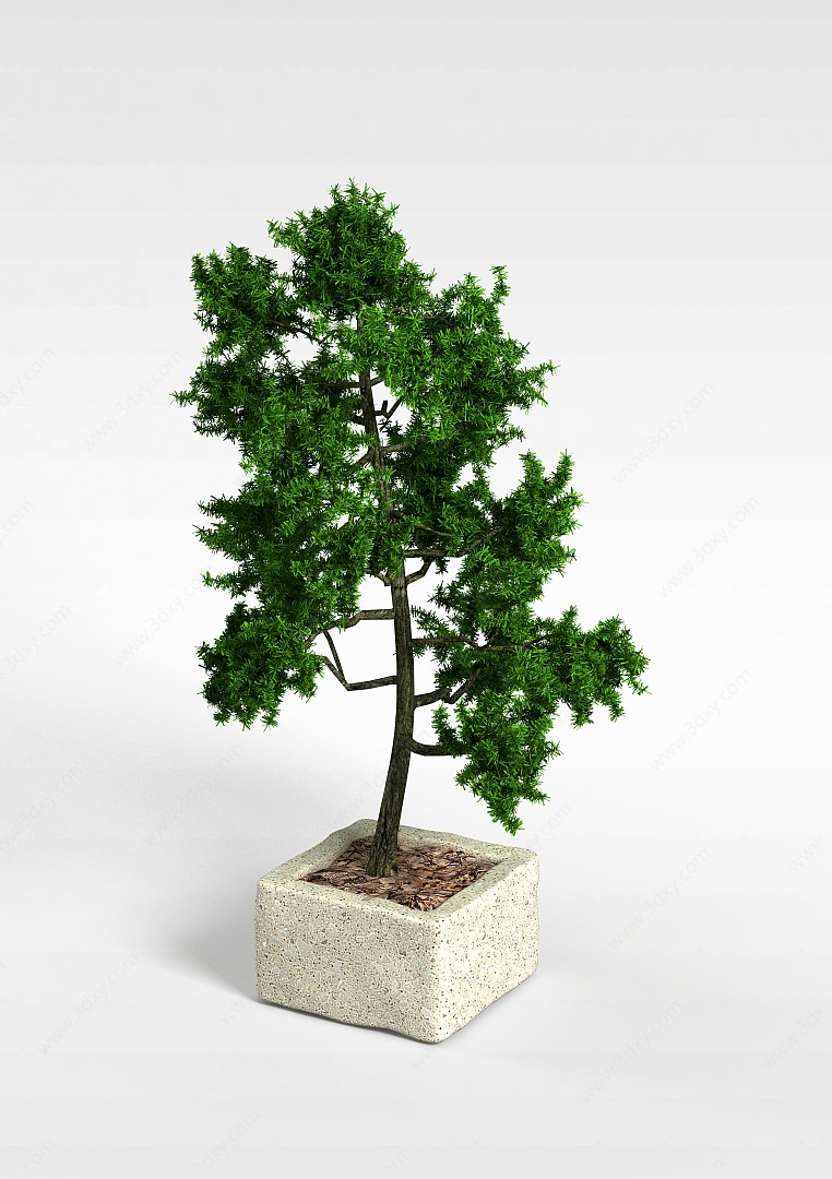 绿树盆栽3D模型