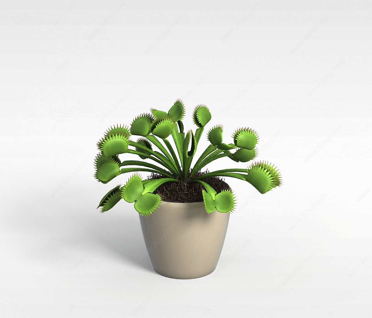 异形植物3D模型