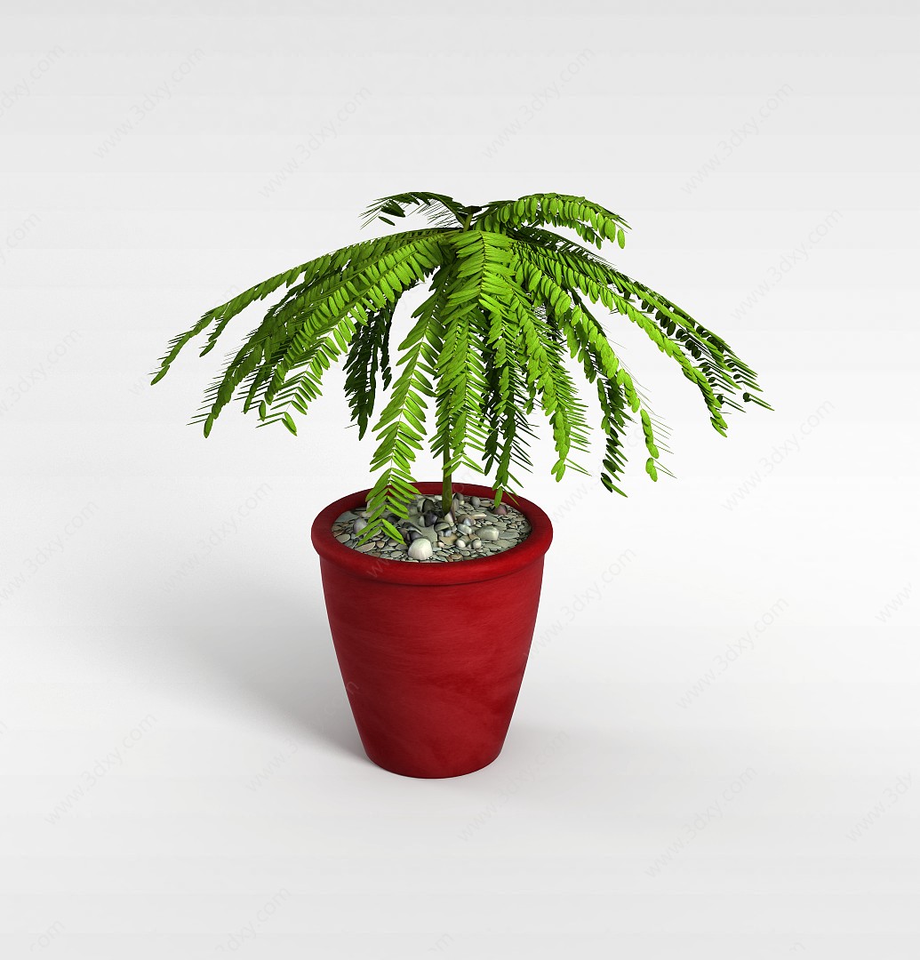室内装饰性小树盆栽3D模型