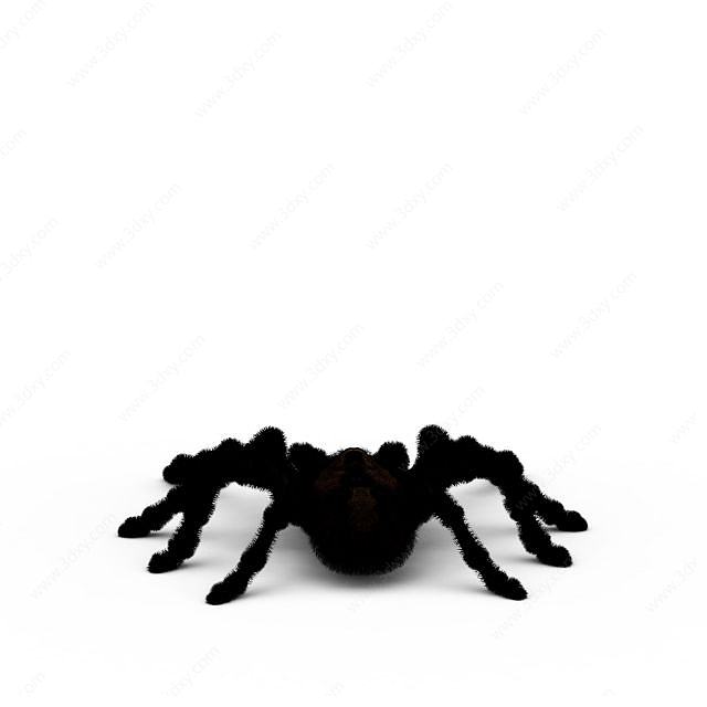黑色蜘蛛陈设品3D模型