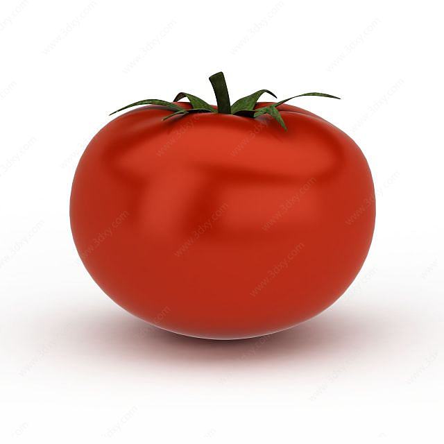 蕃茄西红柿3D模型