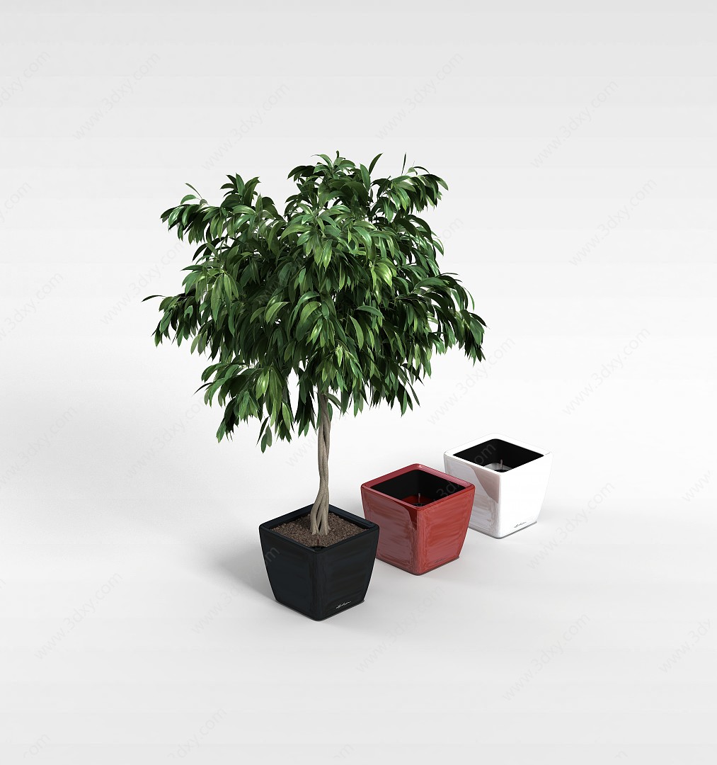 绿植花盆组合3D模型