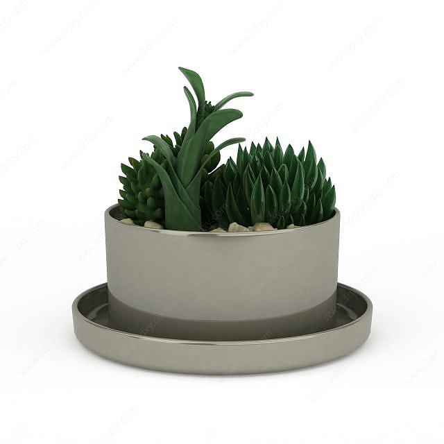 花草绿植盆栽3D模型
