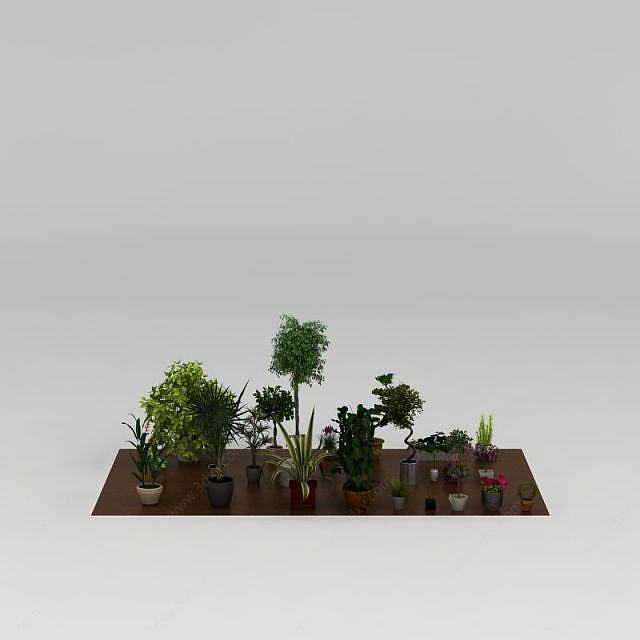  花盆盆栽花草植物组合3D模型