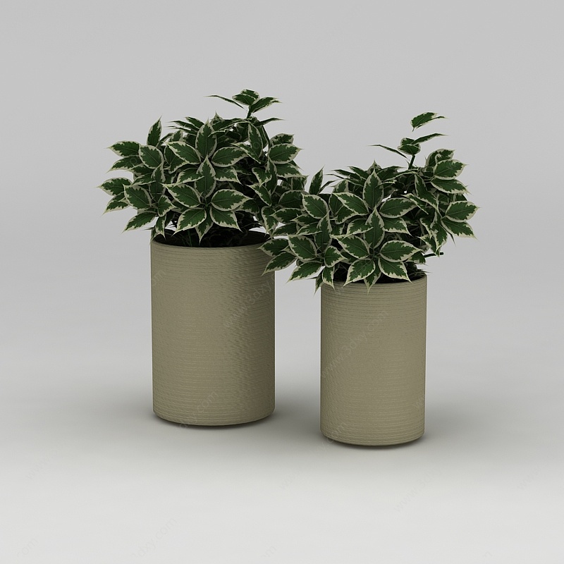 现代花草绿植3D模型