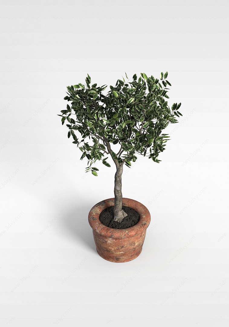 室外树苗盆栽3D模型