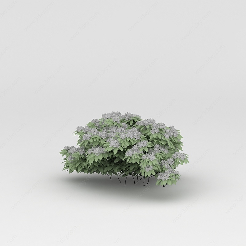 植物树木丛林3D模型