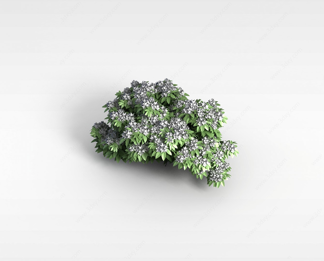 花草树木植物3D模型